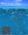 Aida II Wreck