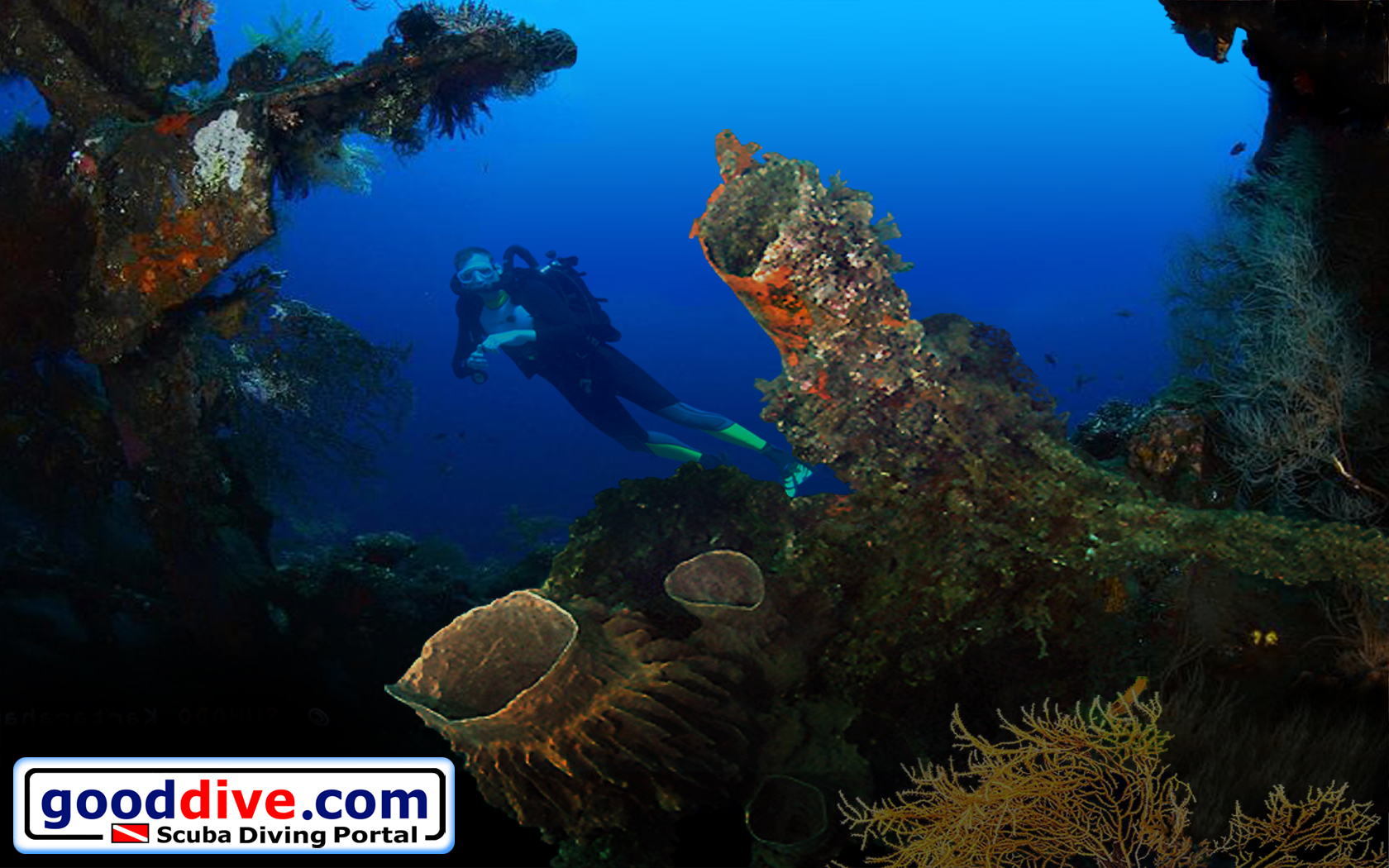 Wallpaper Barrel Sponge 1680 x 1050