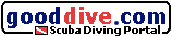 scuba diving logo