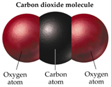 Carbon Dioxide