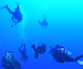 Recreational Scuba Diving